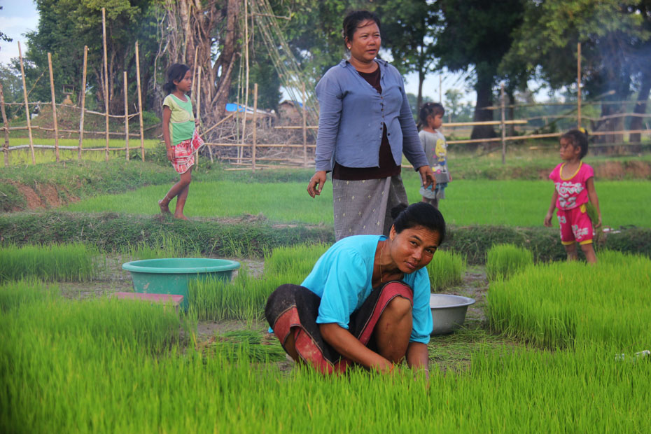 photo rice-planting
