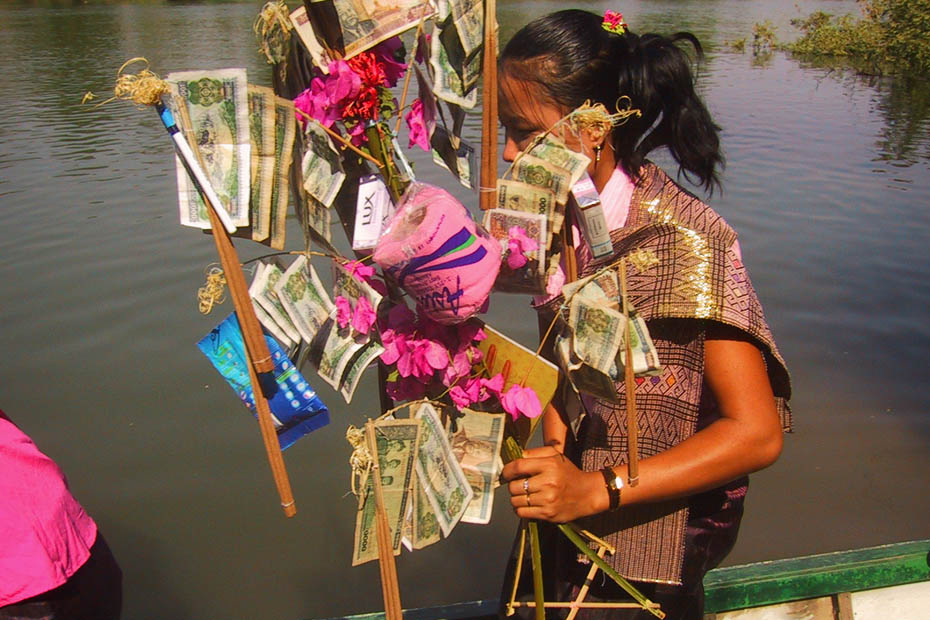 money-tree
