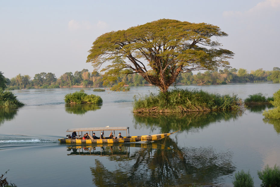 photo tree-island